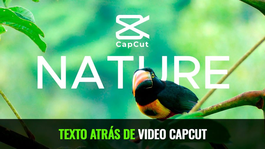 Como poner texto detras en CapCut