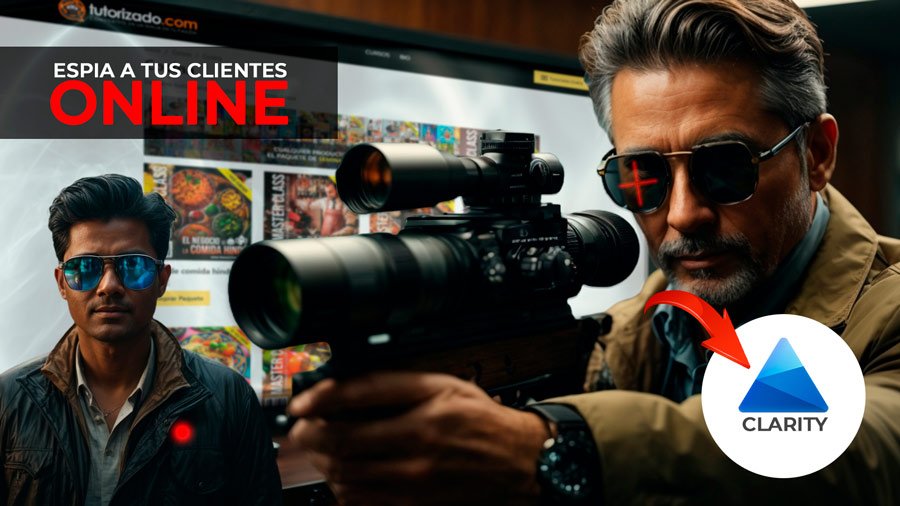 Microsoft Clarity WordPress